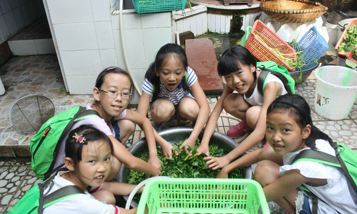 親子夏令營(yíng)-小美女一起洗菜.jpg