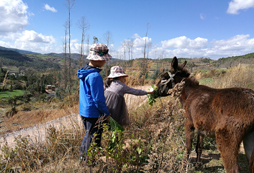  參與云南親子游，凈化親子心靈