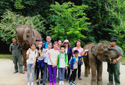 親子活動夏令營哪家好？口碑機構(gòu)一覽
