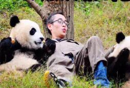  參加親子活動一起和熊貓互動吧