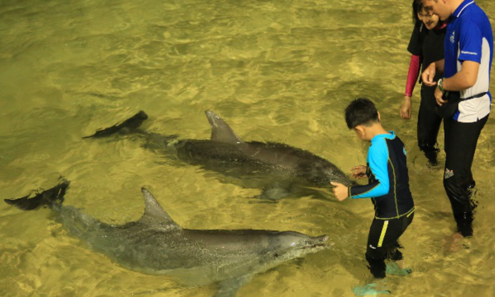 2024中學(xué)生戶外夏令營親子活動