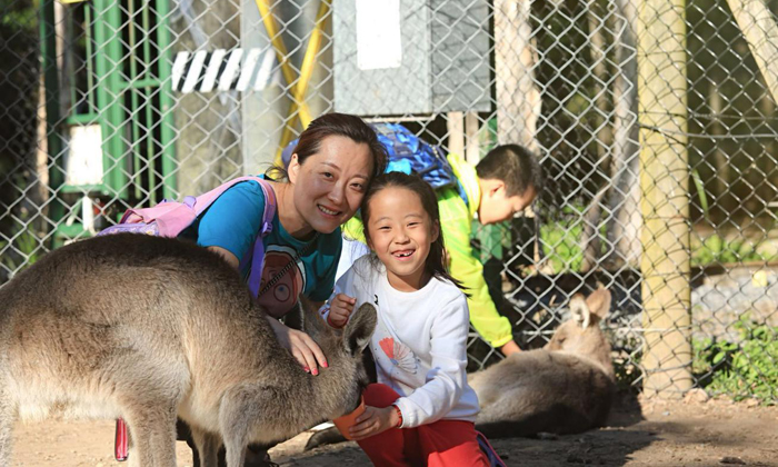 2024中學(xué)生戶外夏令營親子活動