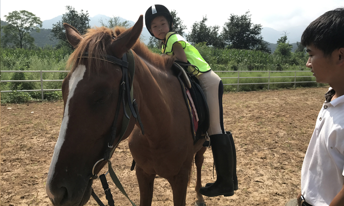 學習騎馬