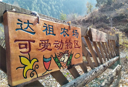 可愛(ài)的動(dòng)物區(qū)