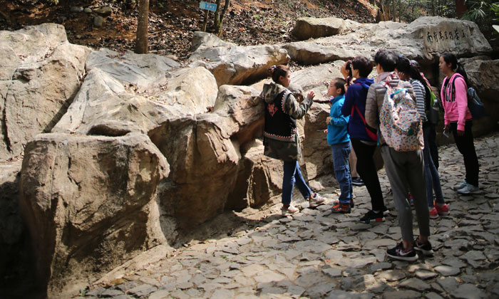 石頭下面你和我