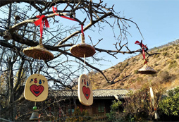 吉祥物