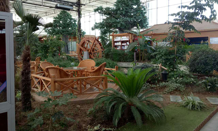 優(yōu)美的環(huán)境