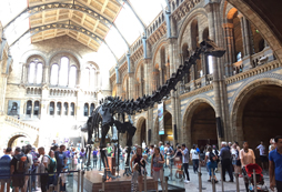 親子游學(xué)夏令營(yíng)你選對(duì)了嗎？