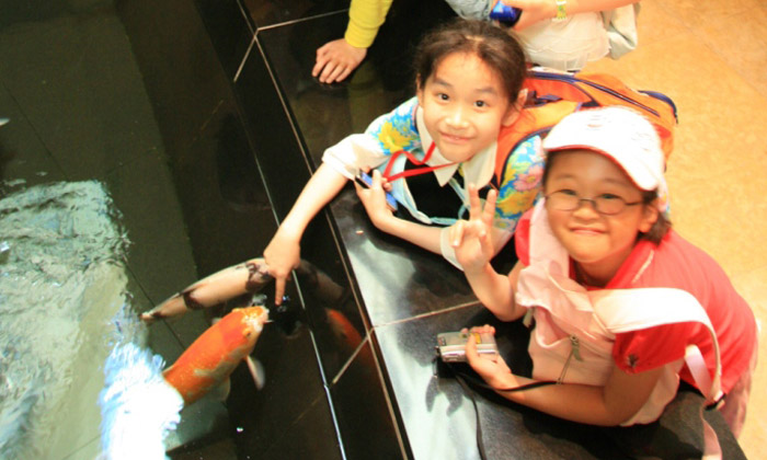 日照小學(xué)生夏令營幫助孩子減輕壓力