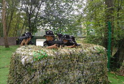 陜西軍事夏令營(yíng)改善孩子不良習(xí)慣！