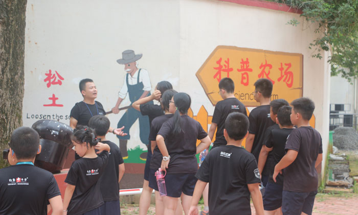 沙漠夏令營多少錢