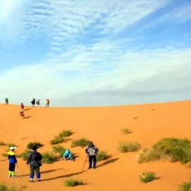 沙漠夏令營