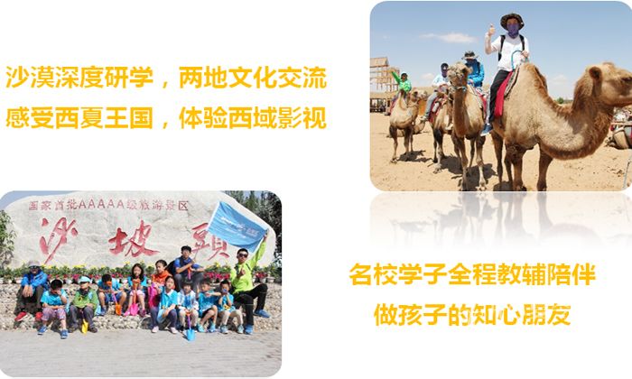 沙漠夏令營(yíng)