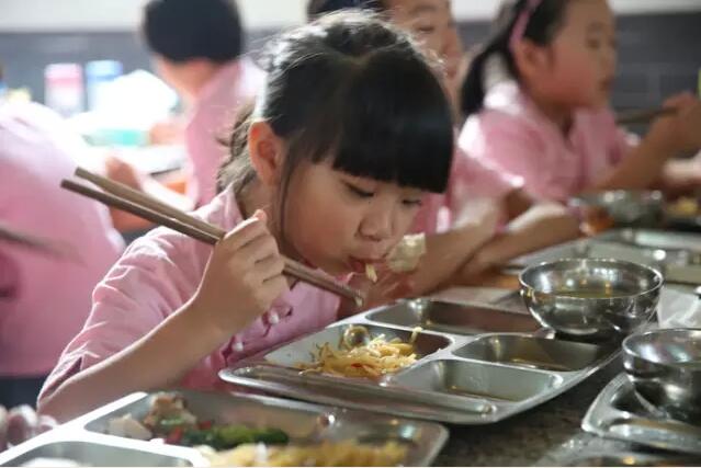 國學 培訓班學什么