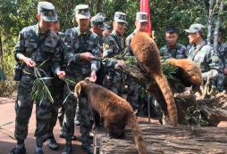 山東少兒軍事夏令營的安全保障是怎樣的？