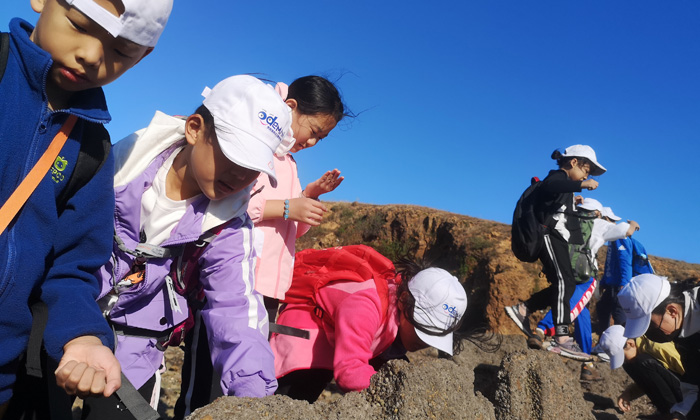 山東軍事訓練營哪些好