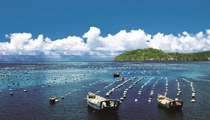 山東適合小學生的夏令營