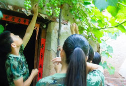 臨沂市附近中小學(xué)生參加的吃苦夏令營多少錢？