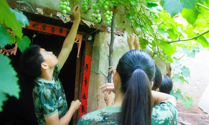 那里的夏令營比較好