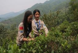 小學(xué)生應(yīng)該參加山東夏令營(yíng)活動(dòng)嗎？