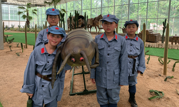 上海高中生夏令營價格