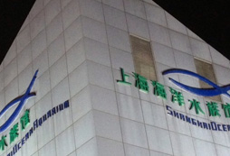 世界上最大的的人造海水水族館之一海洋水族館