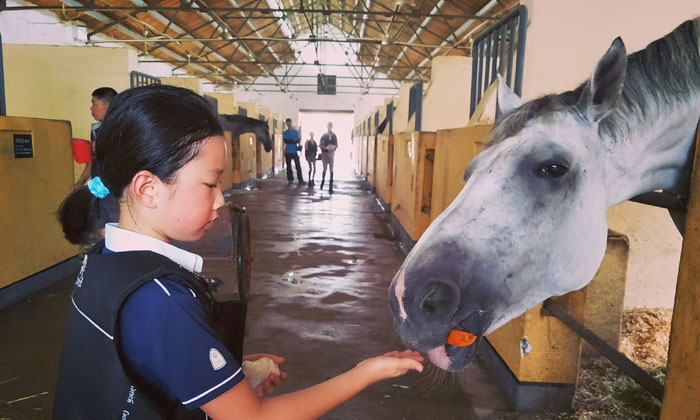 上海有什么夏令營