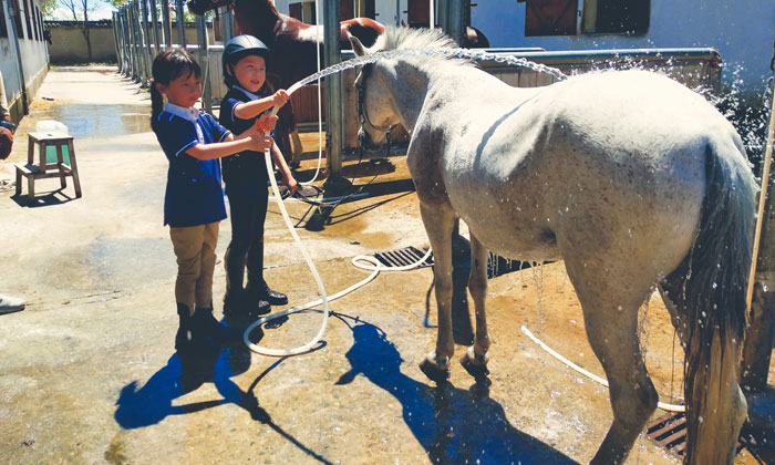 上海有什么夏令營