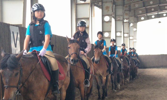2022馬術(shù)6天夏令營(yíng).jpg