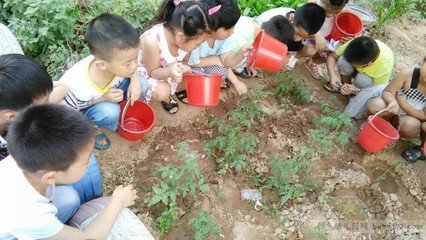 上海少兒夏令營讓孩子接觸自然，知自然