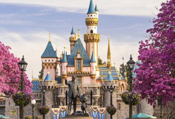 上海夏令營網(wǎng)站哪一個(gè)最好？