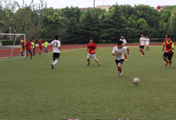 上海體育夏令營形式活潑多樣受家長歡迎