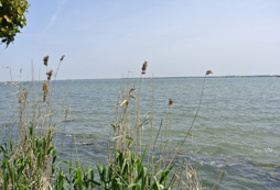 湖水碧澄如鏡的上海淀山湖