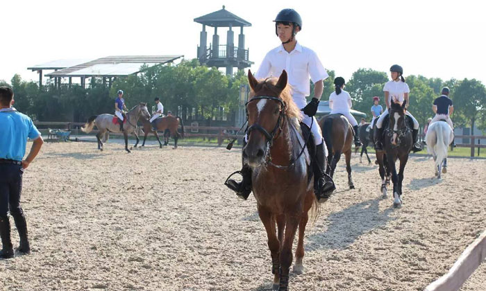 上海夏令營(yíng)怎么樣