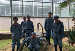 參加山西軍事夏令營能給孩子帶來改變嗎？