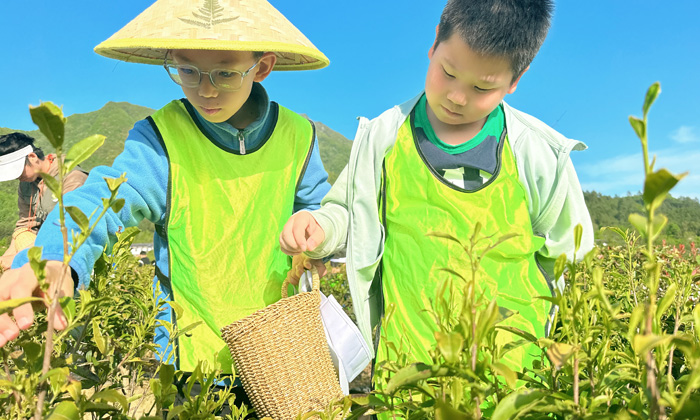 小學生野外生存夏令營報名多少錢