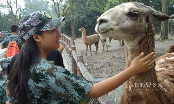 野外生存夏令營