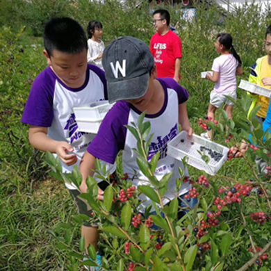 讓孩子參加生存體驗(yàn)營會有哪些收獲