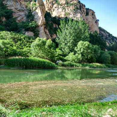 暑期拓展夏令營是如何保障孩子安全的