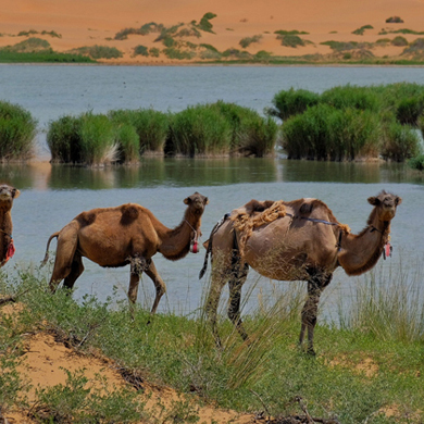 在暑期參加拓展?fàn)I要攜帶哪些物品