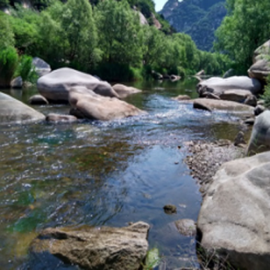 這個暑期深圳拓展?fàn)I給孩子一個安全的戶外活動