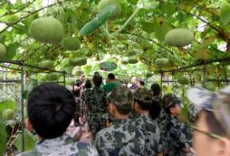 青少年夏令營深圳有哪些比較好的？