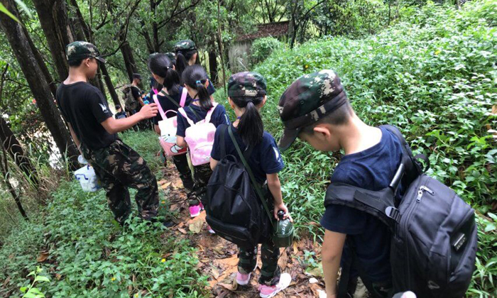 龍崗夏令營多少錢