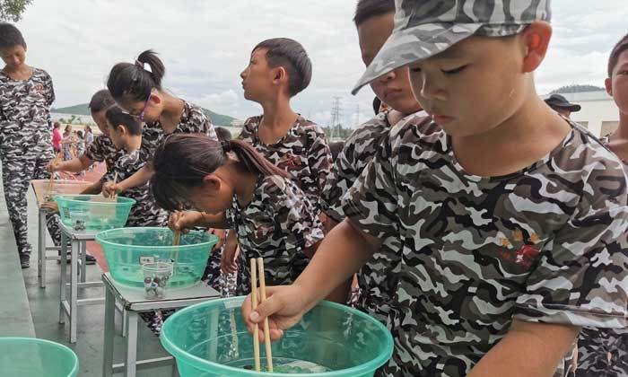 深圳小學生夏令營排行榜