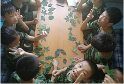 石家莊軍事夏令營有哪些收獲？