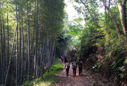 參加暑期軍事夏令營有哪些特色課程