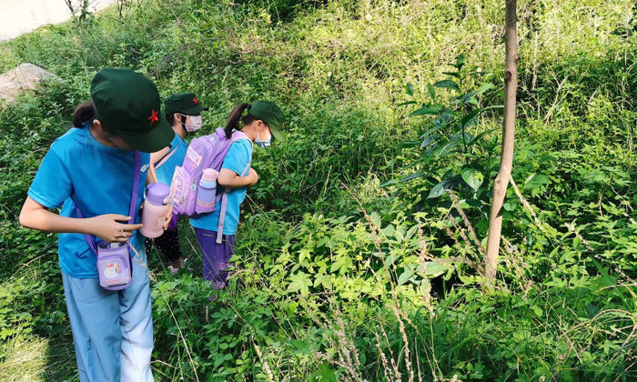 小學生暑假夏令營口碑推薦