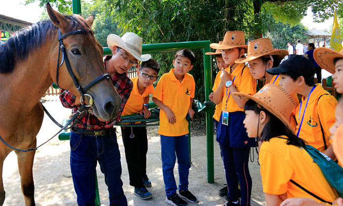 暑假夏令營去哪里好