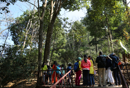 2024暑期有沒有讓孩子邊游玩邊學(xué)英語的活動？