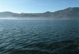 暑假游歷七彩云南讓孩子感受多姿風(fēng)景